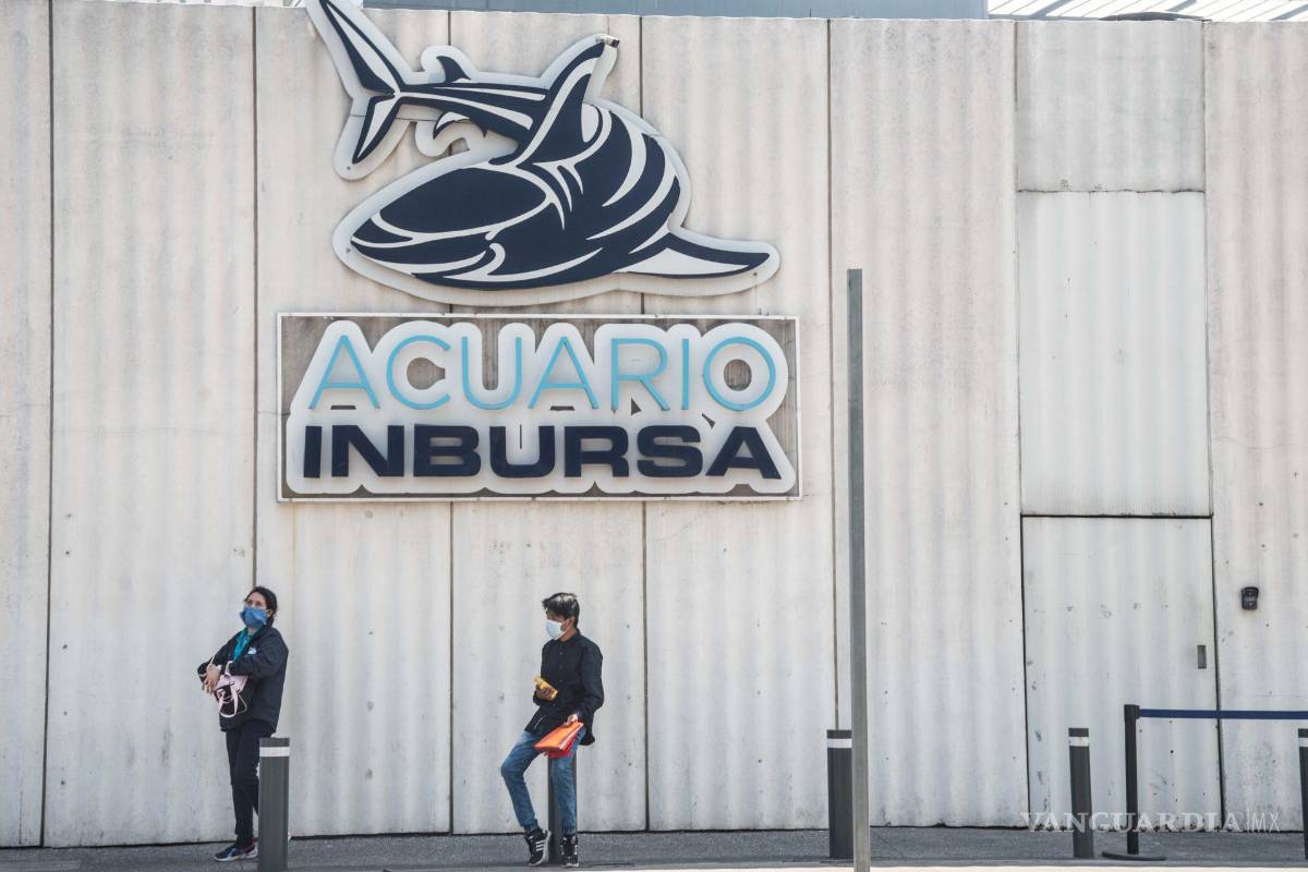 Fiscalía de la CDMX investiga responsabilidad en muerte de bióloga en Acuario Inbursa
