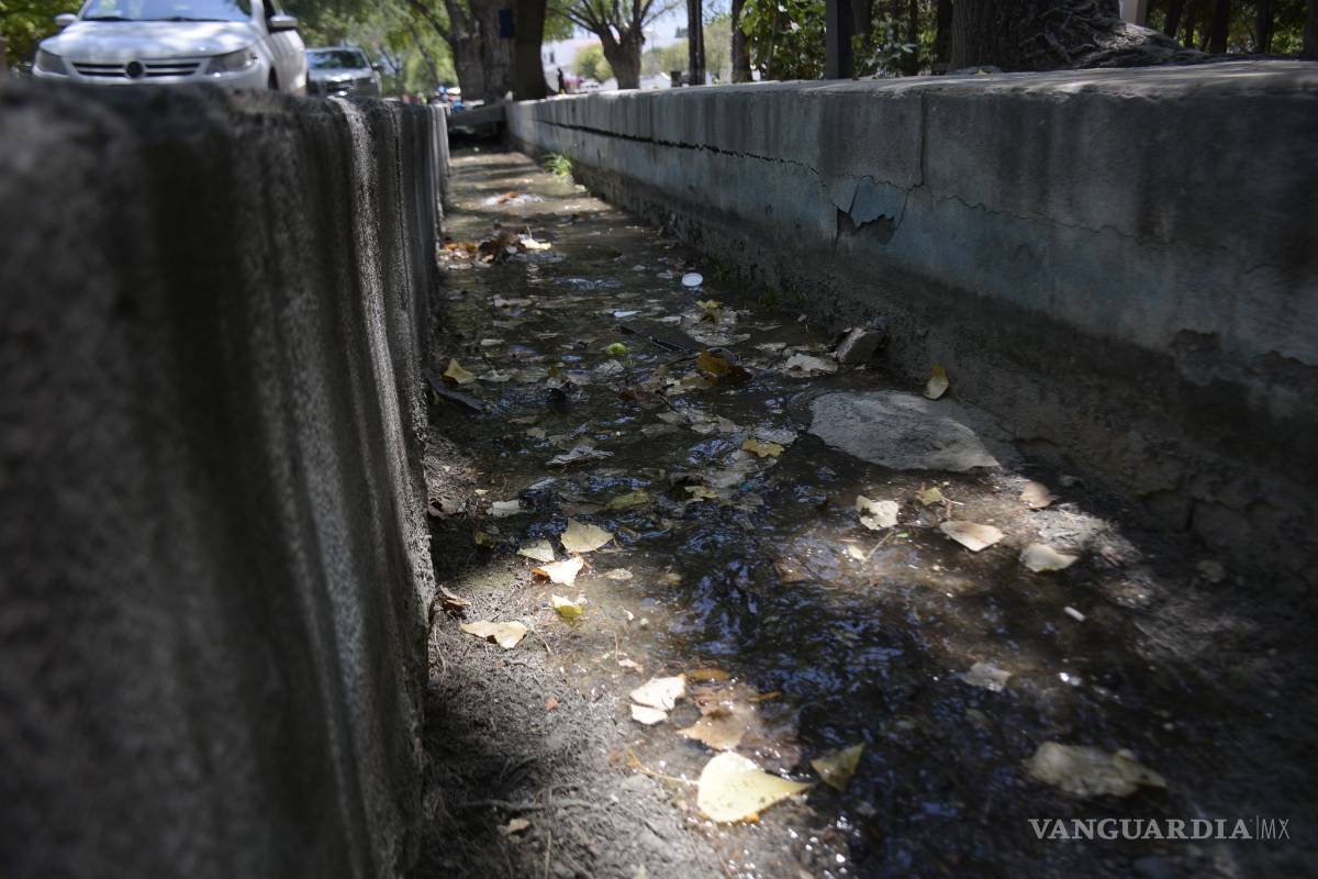 Acumula basura acequia de Arteaga... ¿y el agua?