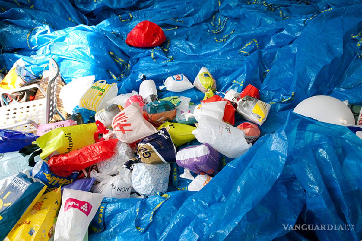 Científicos mexicanos descubren un hongo que degrada el plástico en 60 horas