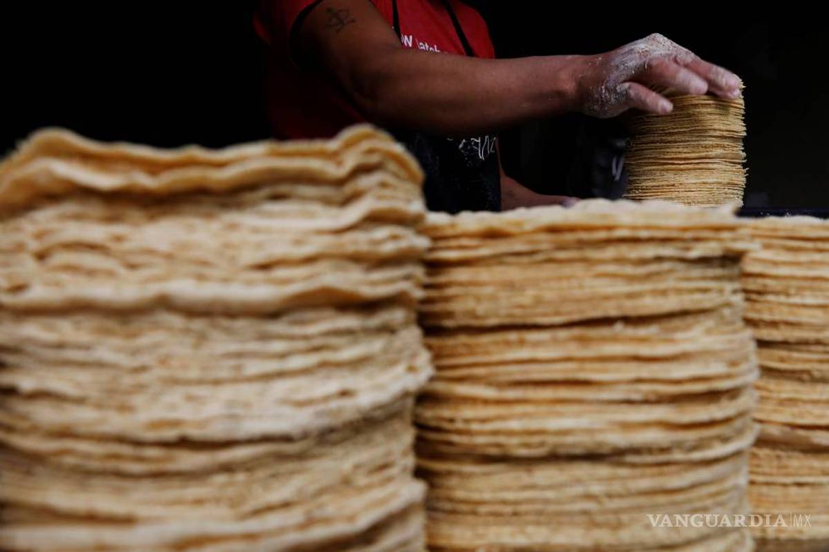 Precio de la tortilla en el país se mantiene estable, según Profeco