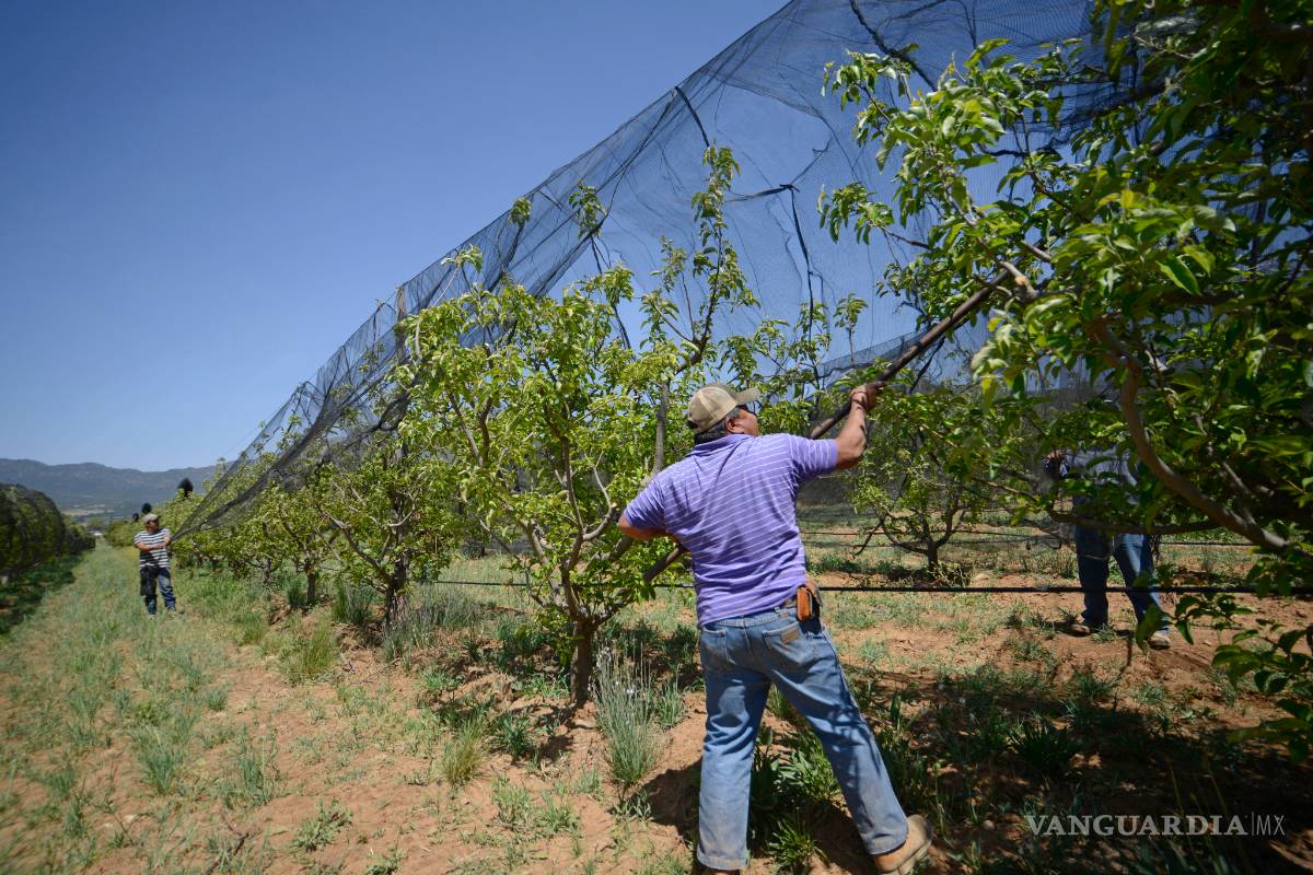 Diputados piden informe del seguro catastrófico