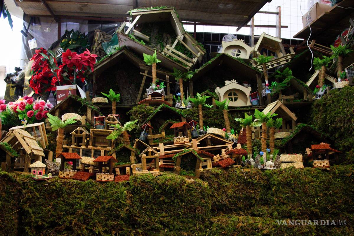 UNAM lanza alerta por el uso de musgo en Navidad