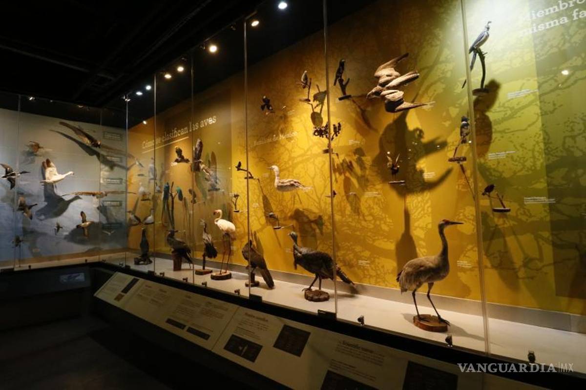 $!El Mude es de los más queridos.