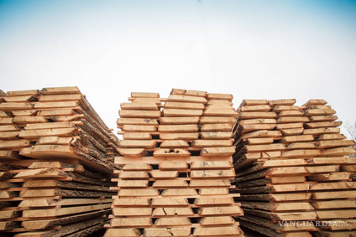 Trump inicia 'guerra' comercial con Canadá, impone aranceles a madera de ese país