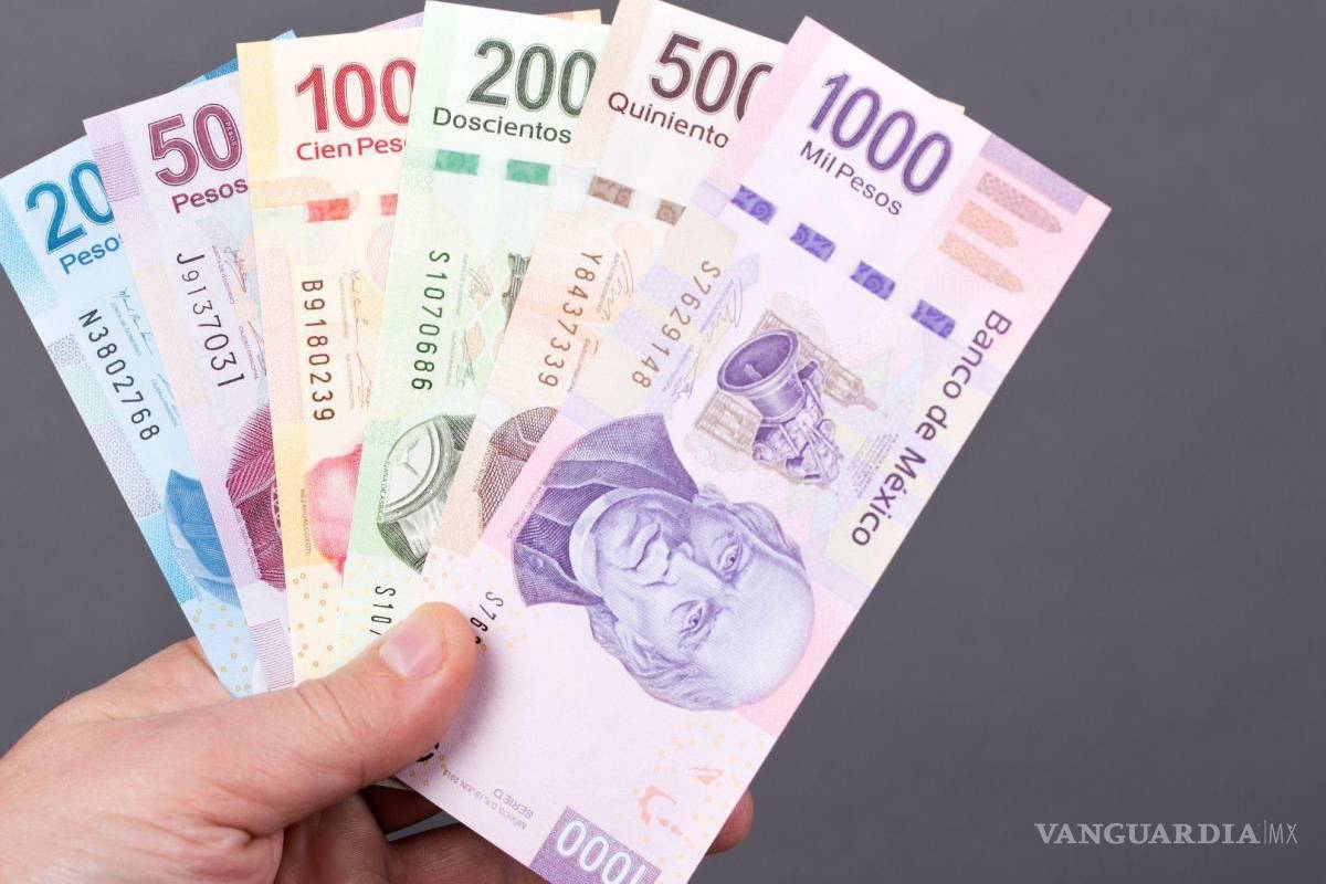 Fondo de Pensiones robará los ahorros de unos para darles a otros, afirma senadora coahuilense