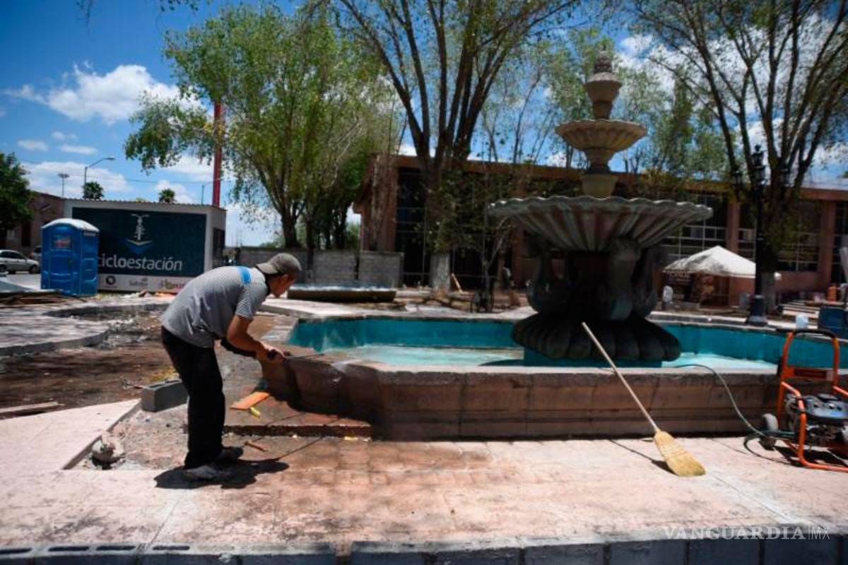 Tendrá Saltillo jardín temático sobre la mariposa monarca