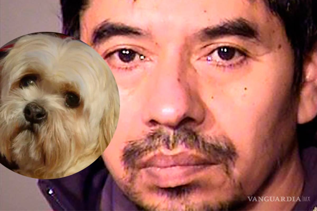 Viola a perrita y sólo pasará 60 días en la cárcel, el animal fue sacrificado por las heridas