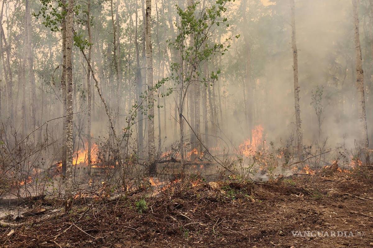 Noruega vaticina que el humo por los incendios forestales en Canadá llegará al país