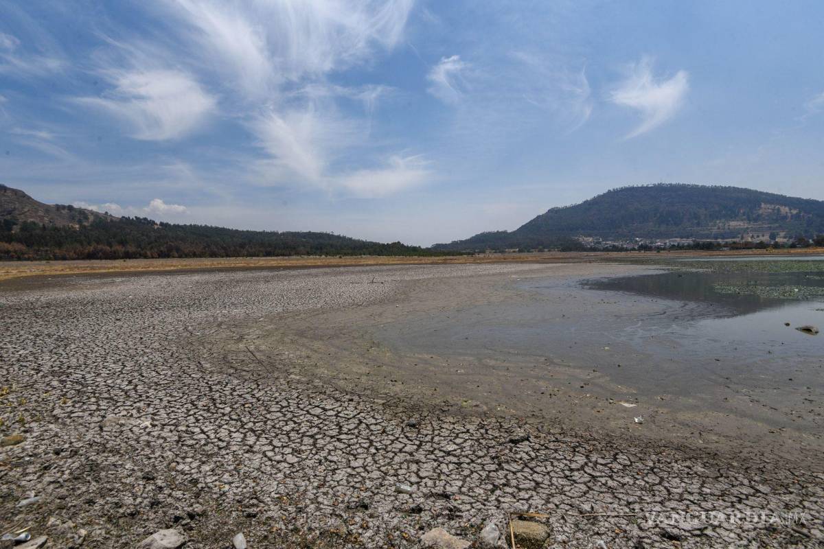 Golpea sequía en México a nivel récord