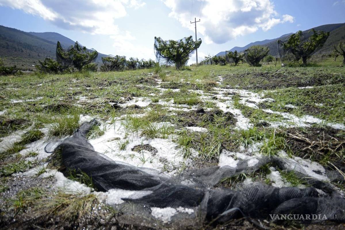 Emiten declaratoria de emergencia en Saltillo, Ramos y Arteaga tras granizada