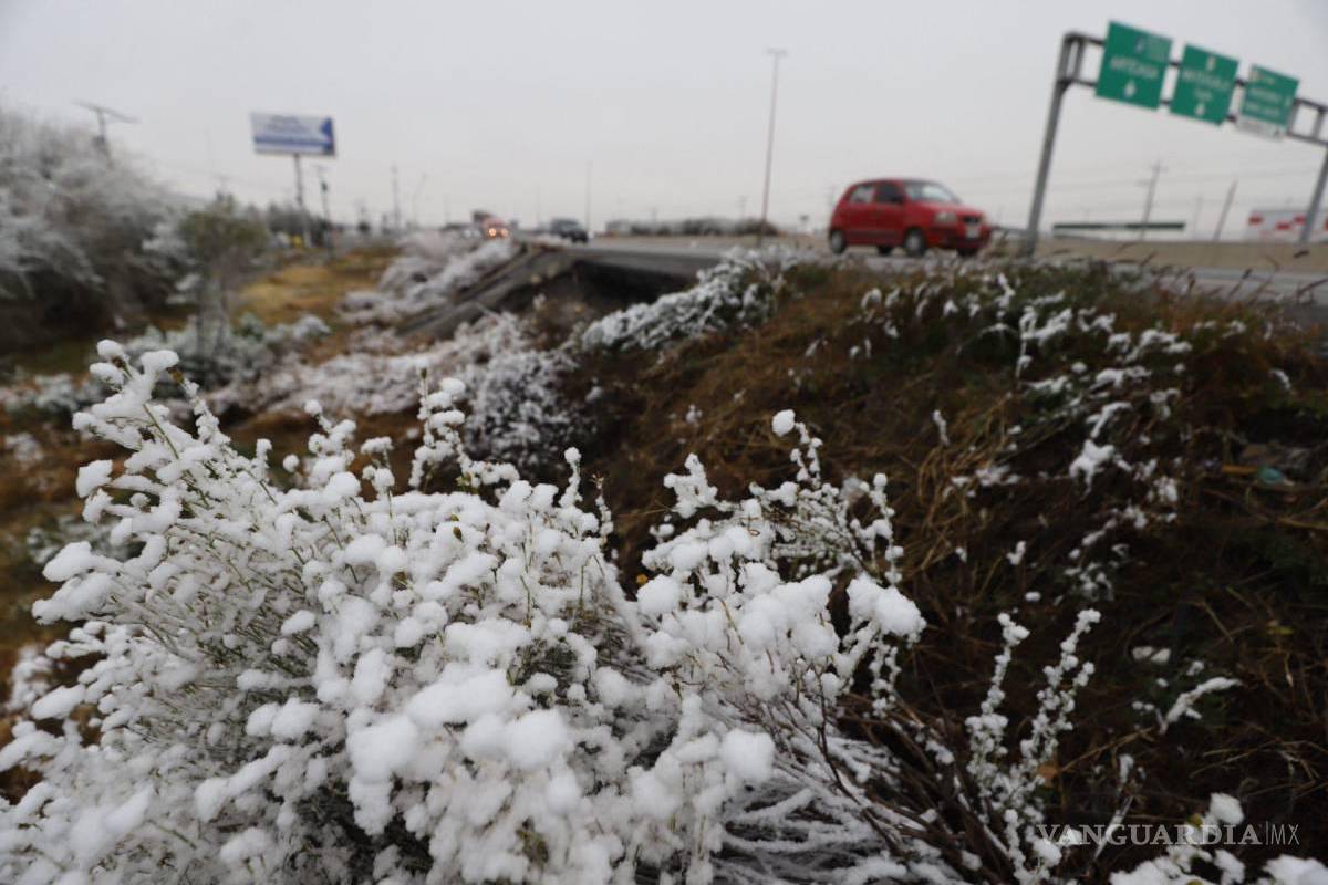 Corriente en chorro polar generará caída de nieve o aguanieve en sierra de Coahuila