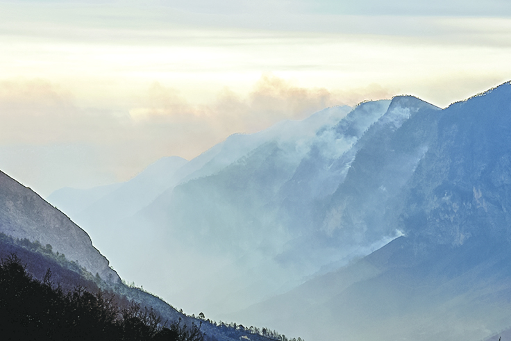 Arteaga, con el peor desastre en bosques en una década