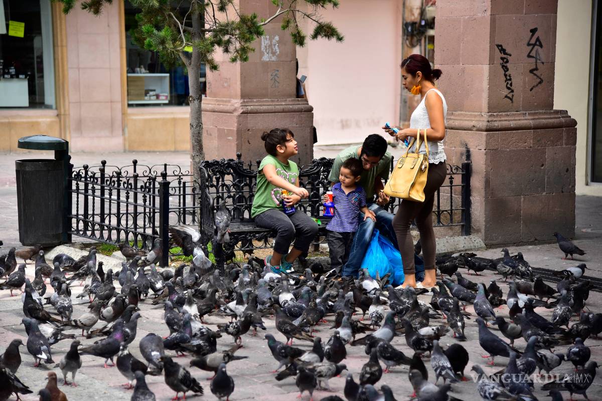 Coahuila, en el top ten de estados con mayor movilidad