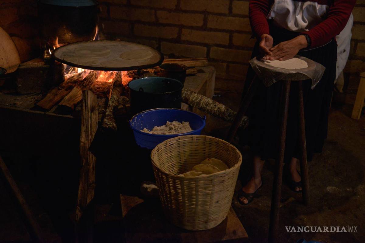 Sólo 18 mil 930 mujeres del campo cuentan con certificado agrario en Coahuila