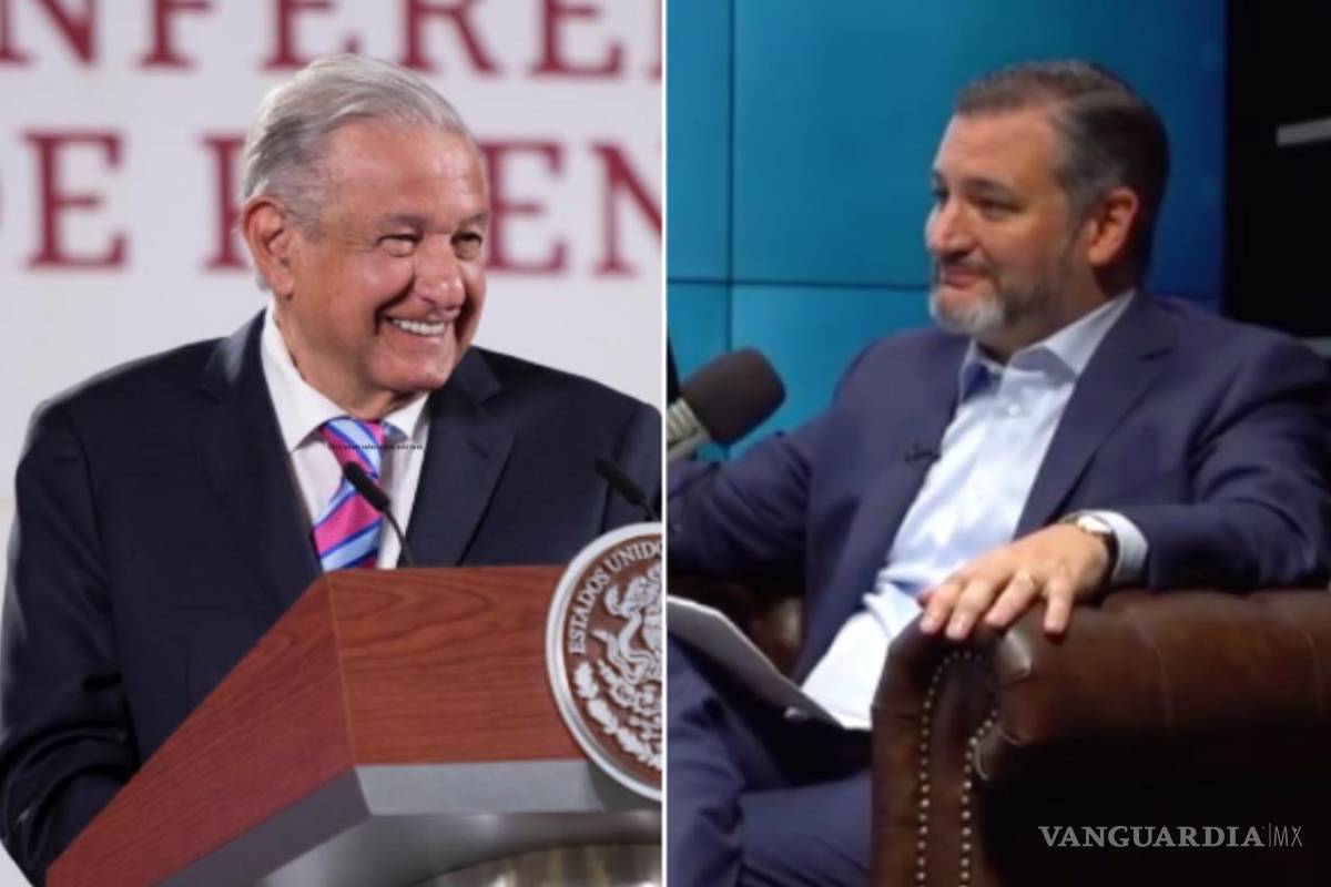 Tras crítica de Ted Cruz contra AMLO por abuso de poder, Esteban Moctezuma le pide que expanda su punto de vista