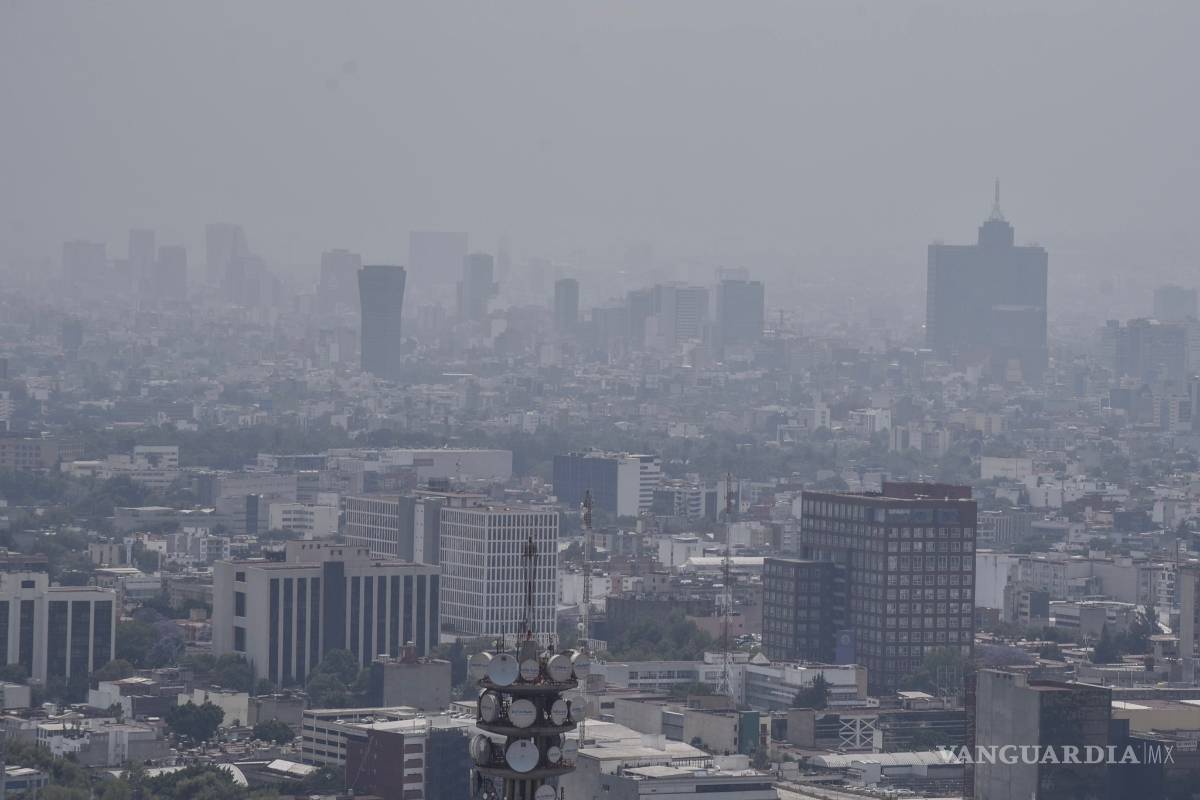 Contaminación del aire acorta esperanza vida unos 20 meses a niños recién nacidos, según un estudio