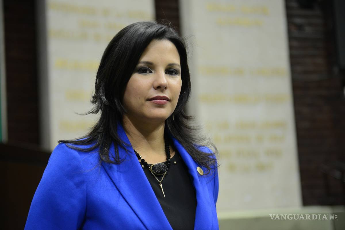 Presenta diputada panista precandidatura al Senado