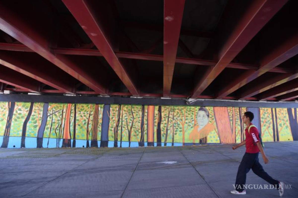 Dedican mural a saltillense protectora de la mariposa Monarca