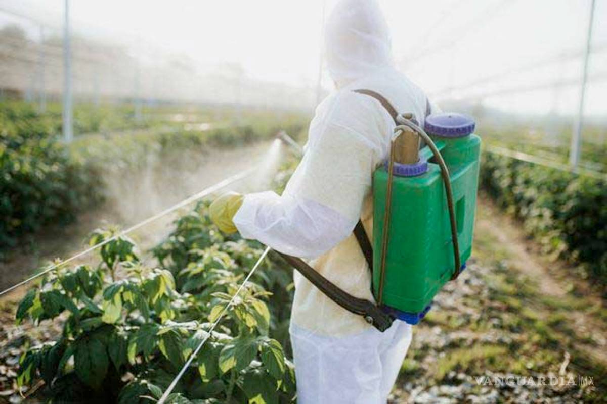 Gobierno de México saca del mercado 19 pesticidas de Bayer-Monsanto que dañan la salud; desde 2015 se debieron prohibir