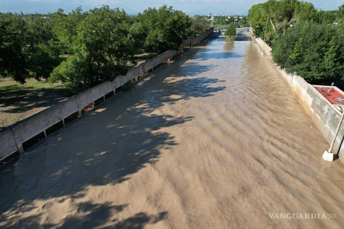 Saltillo: Corregir el desorden: ¿basta con ‘endurecer’ las leyes?