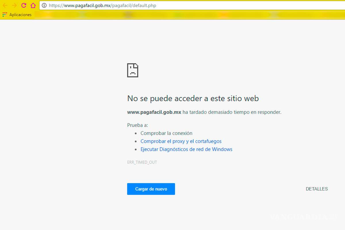 Colapsa página 'Paga Fácil' para tramitar licencias de conducir en Coahuila