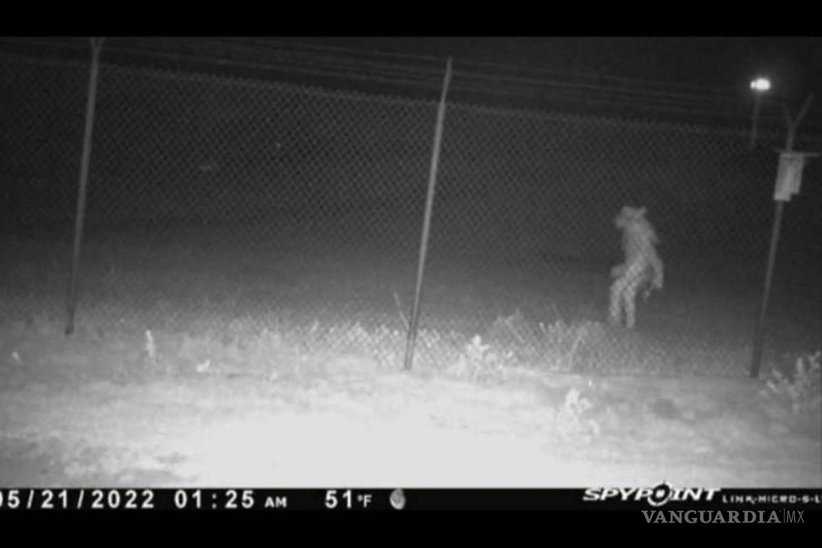 ¿Eres tú Chupacabras? Imagen aterradora muestra a criatura vagando por zoológico de Texas