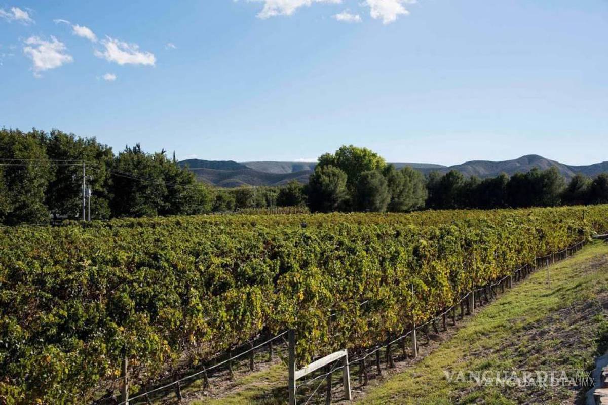 Niega Rivero González sobreexplotación de mantos acuíferos en Parras