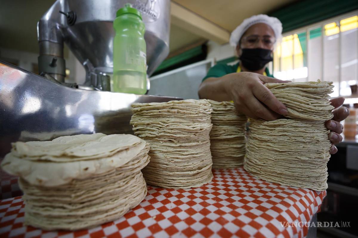 ‘Endurecen’ precios a la tortilla; seguiría cara debido a varios factores