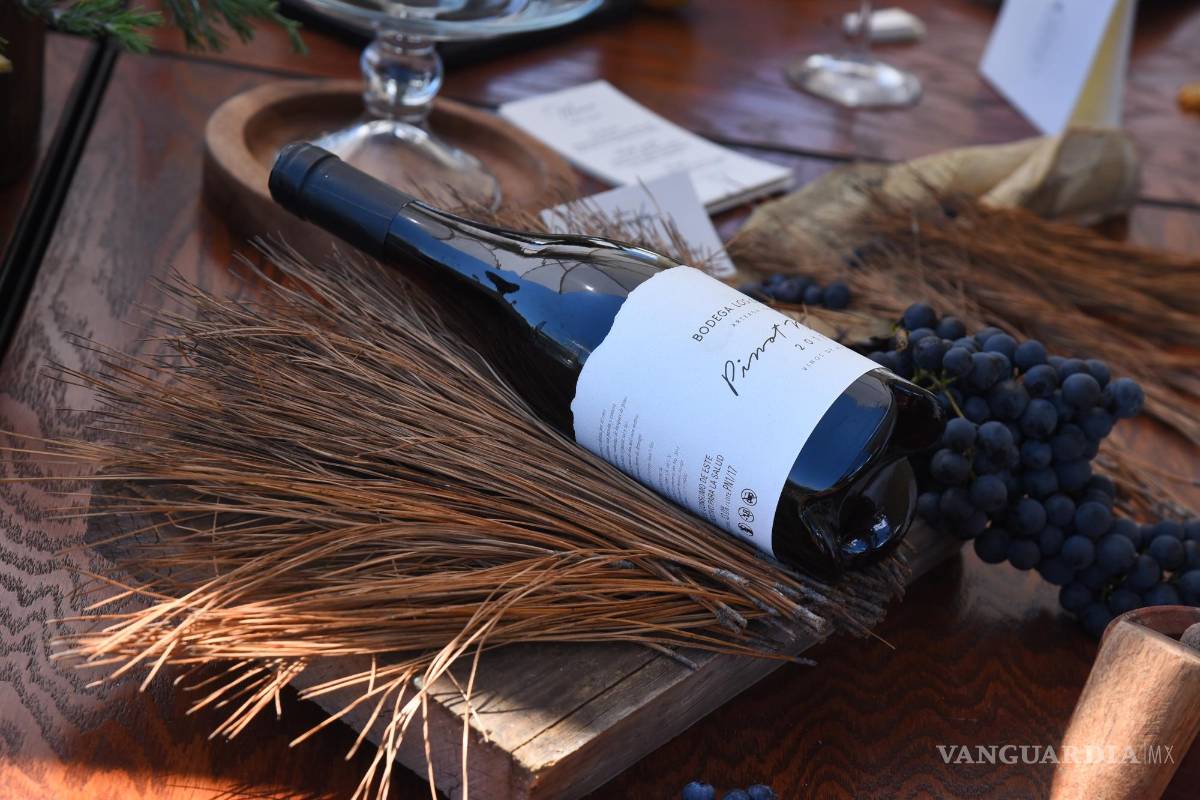 Inician las Fiestas de la Vendimia en Parras de la Fuente