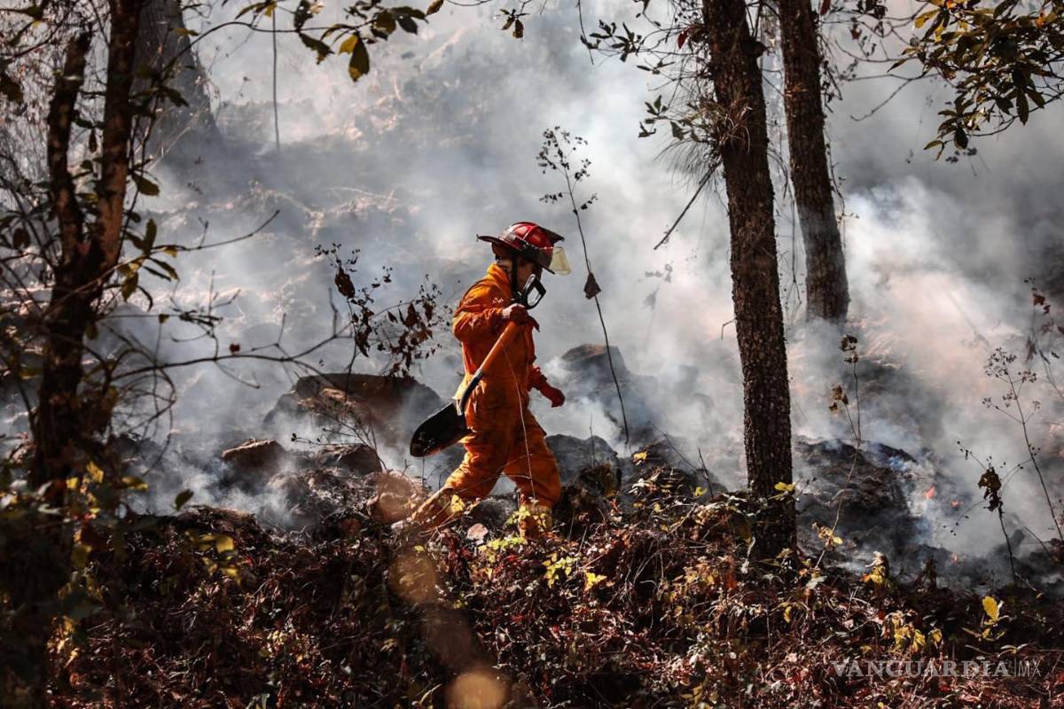 Murieron 6 brigadistas voluntarios de Coahuila en incendio de Santiago, Nuevo León