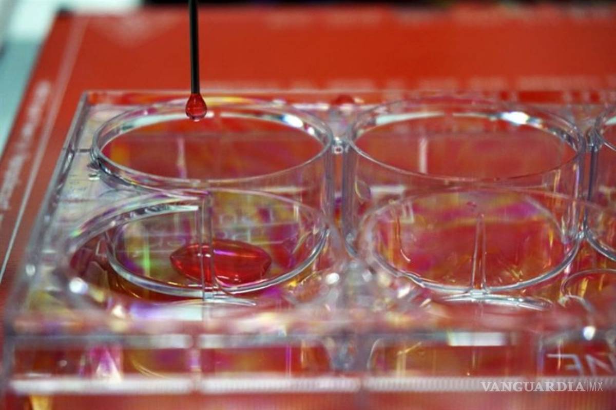 Crean en España una bioimpresora 3D que &quot;imprime&quot; piel humana