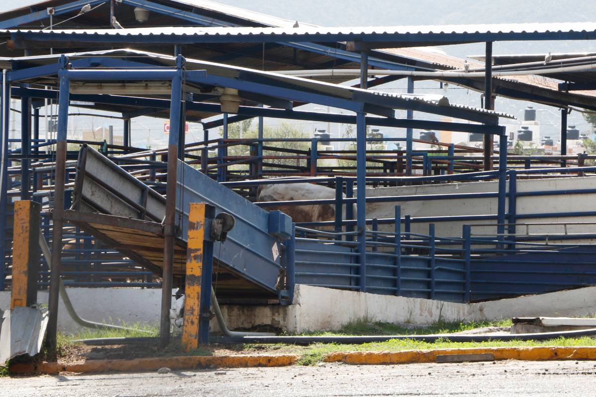 Juez municipal fue quien dio prórroga al rastro de Saltillo