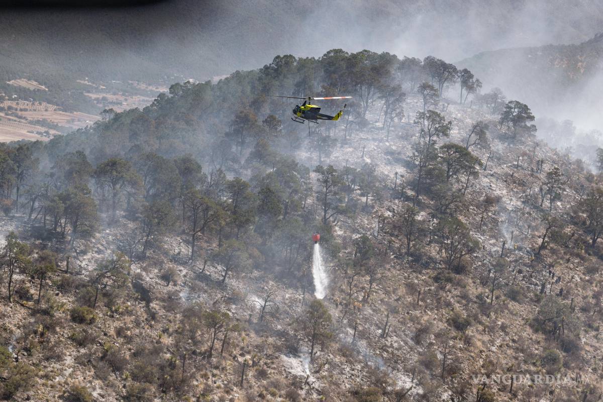 Arteaga: Más de 230 brigadistas y tres helicópteros combaten incendio en El Tunal