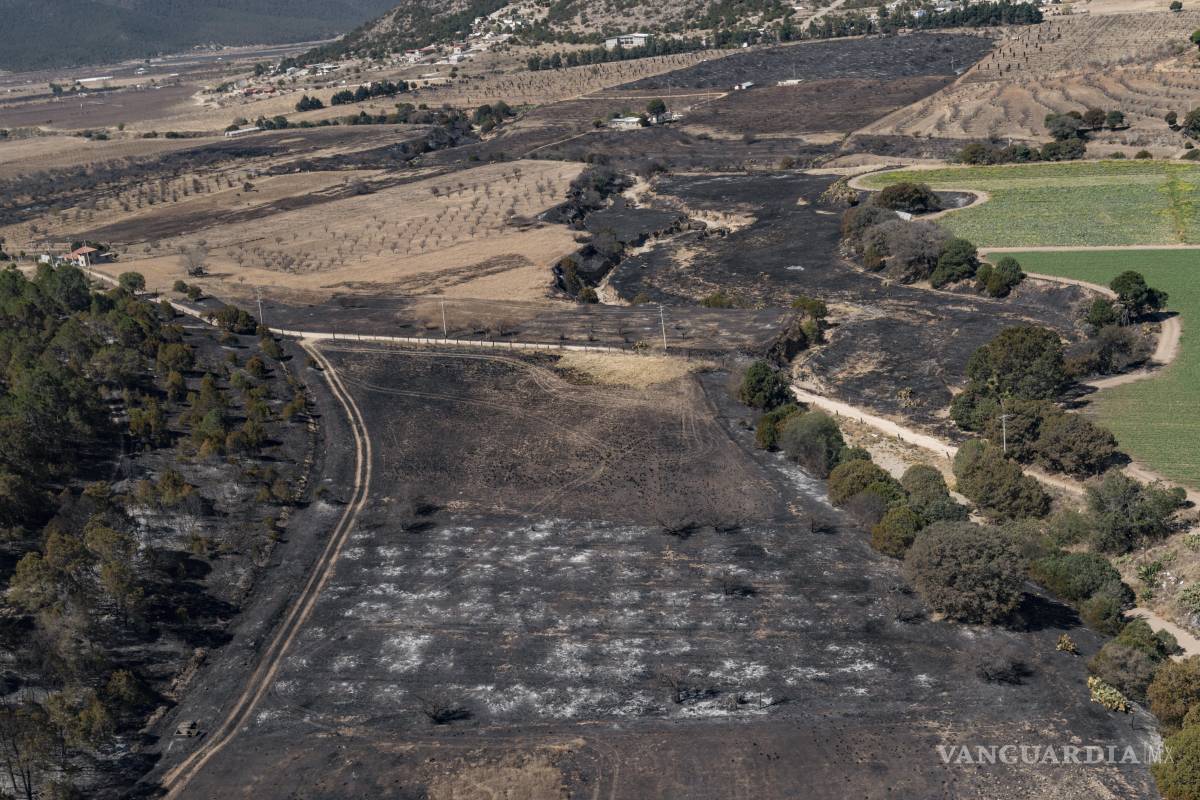 $!Contienen al 90% incendio en El Tunal, Arteaga; liquidan 85% del fuego