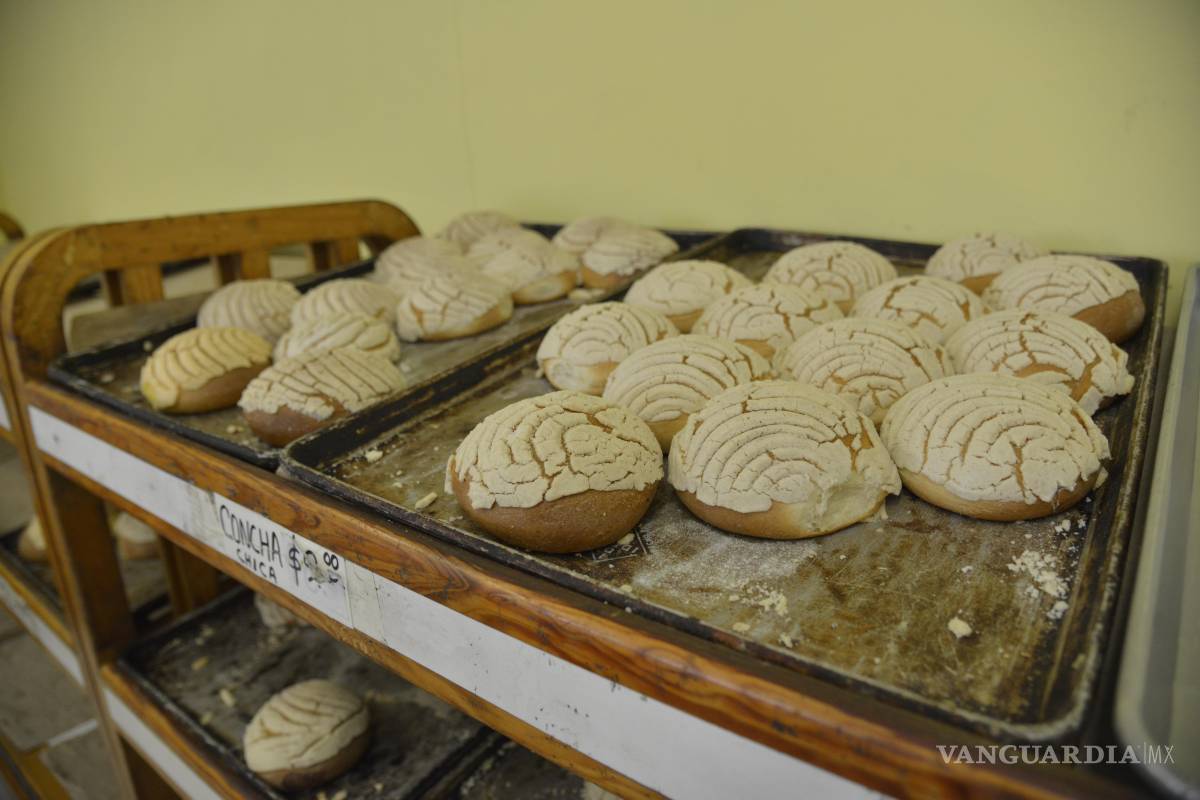 Saltillo: Recuerdos olvidados