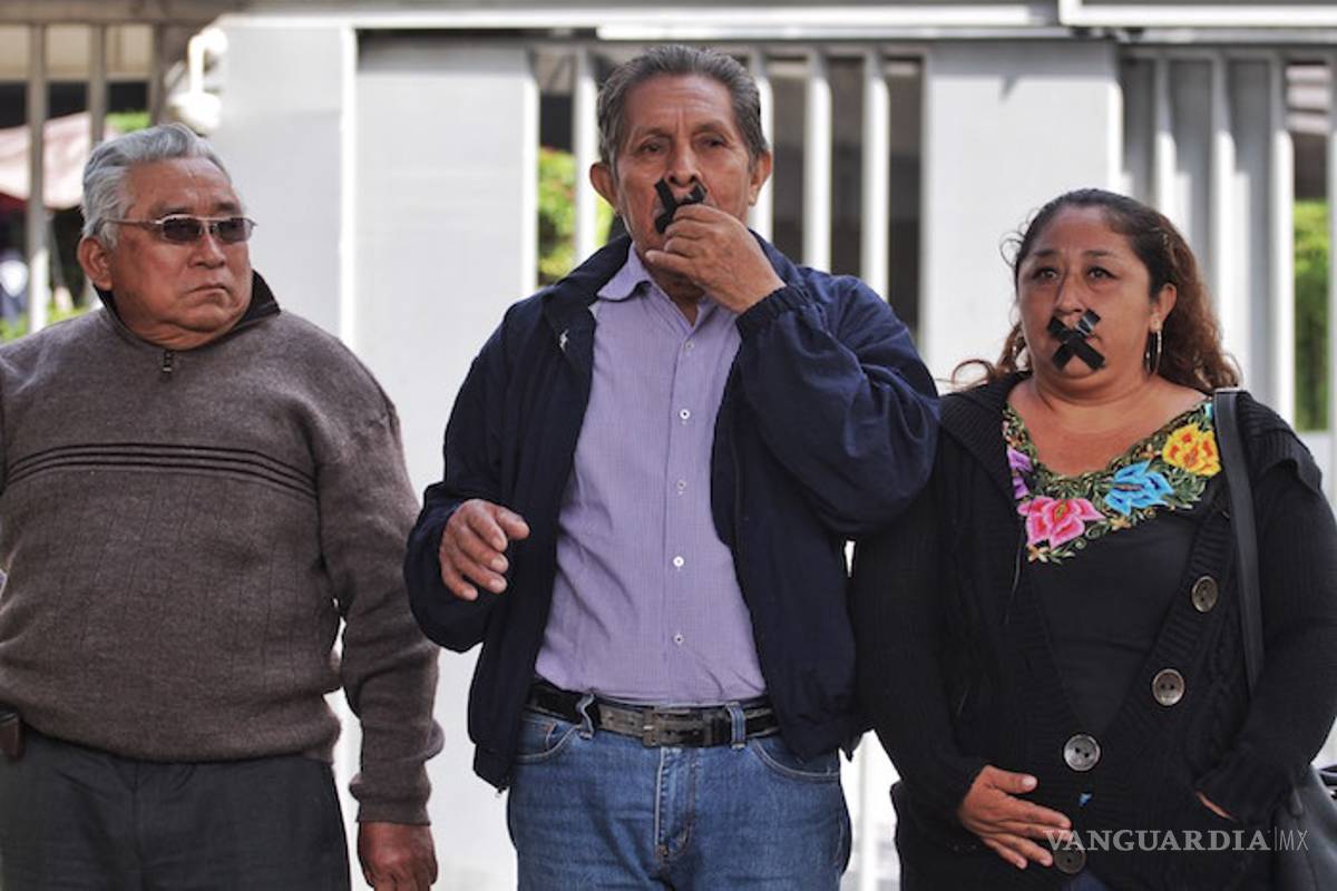 No hay flores ni néctar para las abejas, hasta con aviones echan los fertilizantes: denuncian mayas