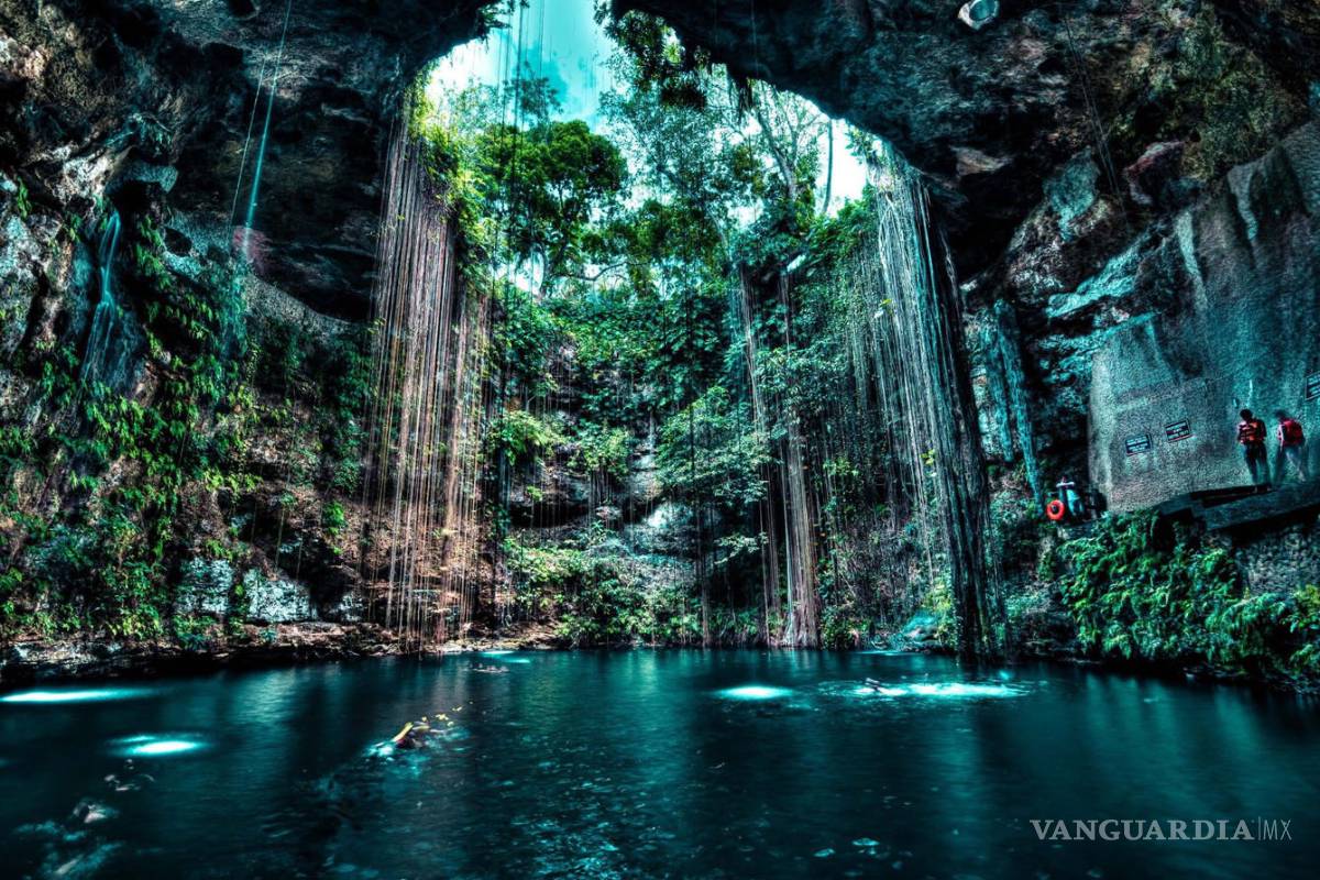 Cenotes en Yucatán: Lo que debes saber antes de ir a conocerlos