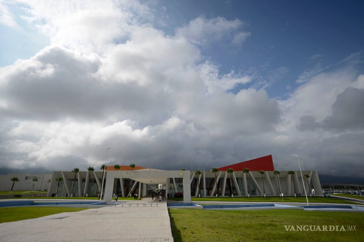 Organizan estudiantes jornada de reforestación de Ciudad Universitaria de la UAdeC
