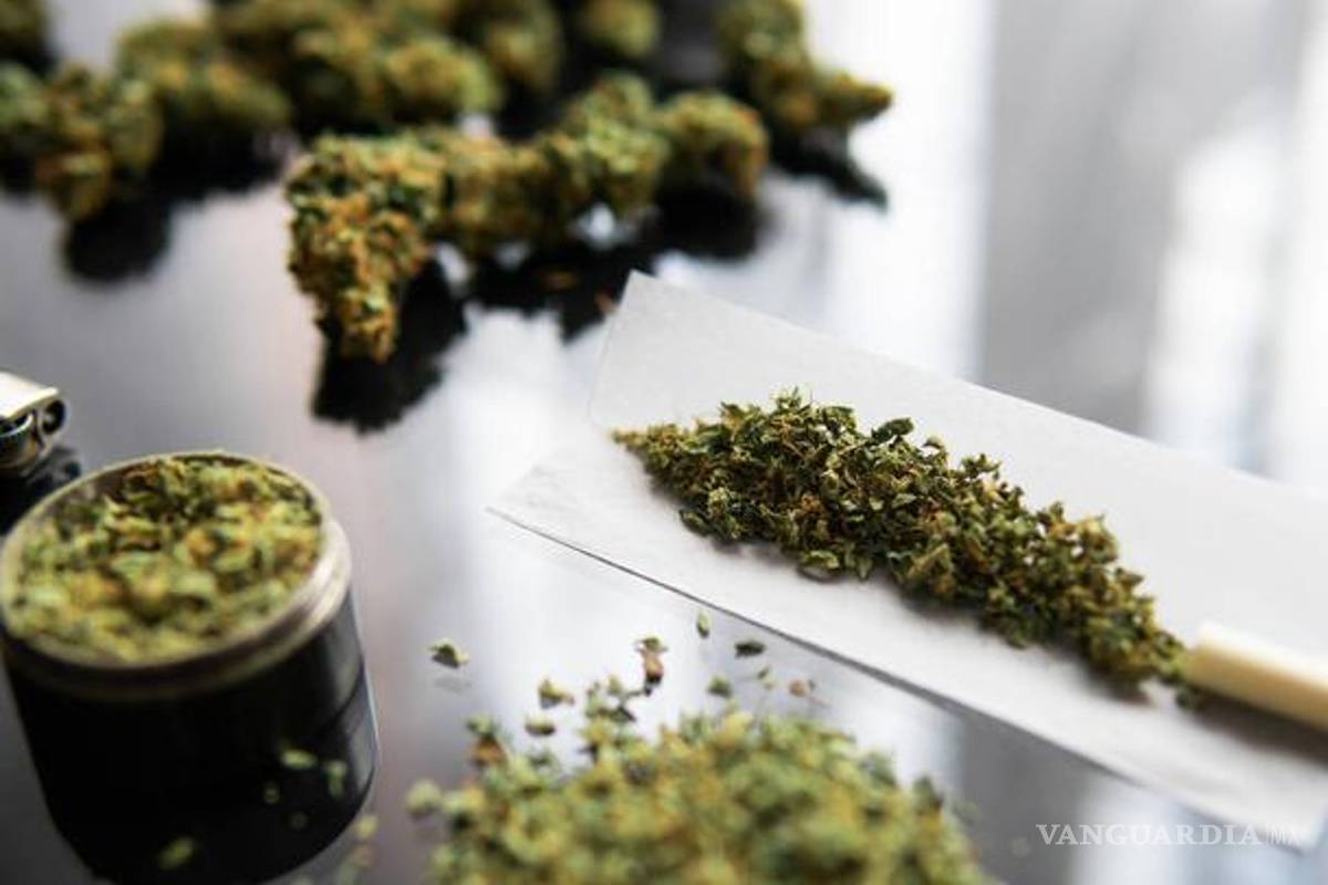 SCJN declara inconstitucional penalizar posesión de marihuana por consumo personal