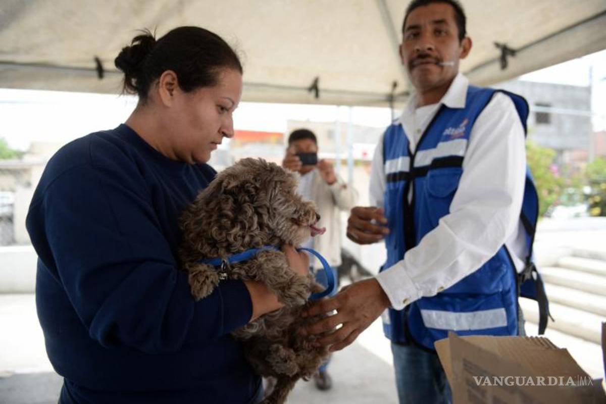 Inicia en Saltillo vacunación antirrábica