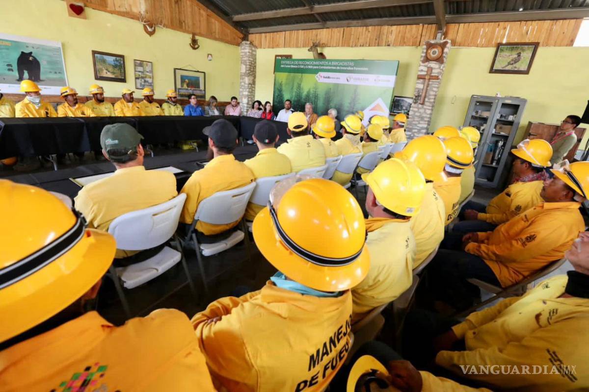 Crearán brigada especial en combate de incendios forestales en Saltillo