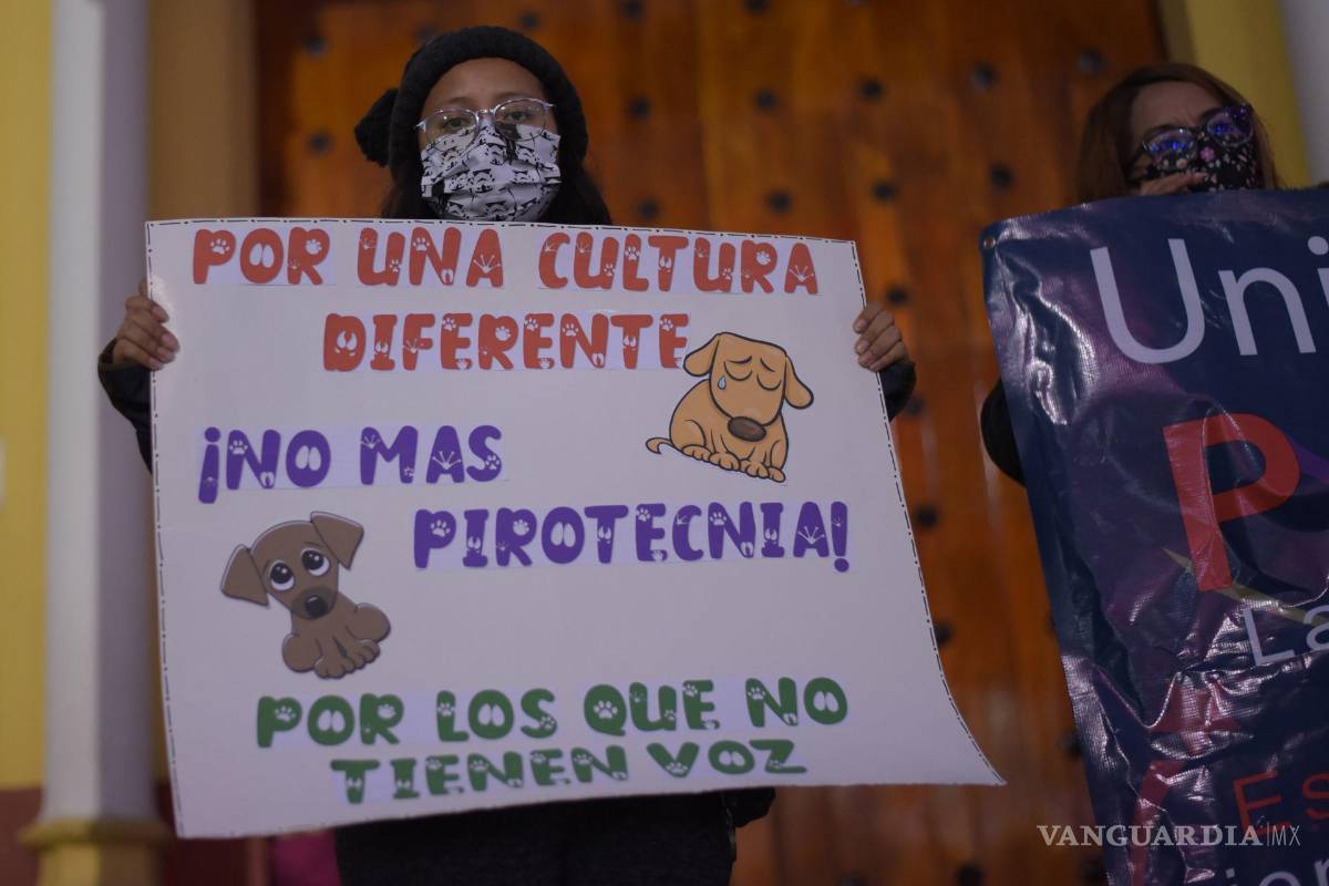 Coahuila: analizan prohibir exponer a mascotas a ‘cuetes’