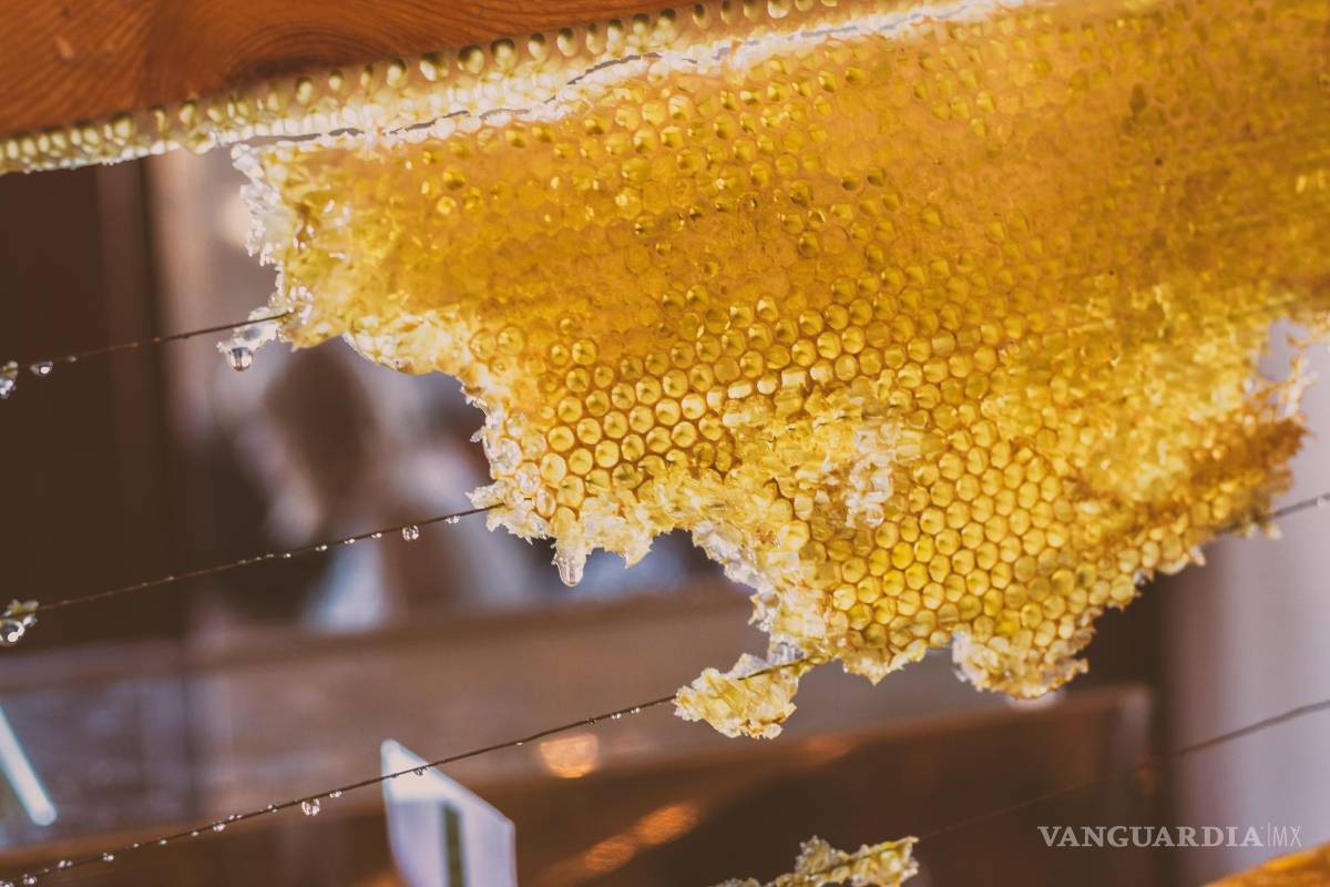 Sube costo de la miel 50% por cambio climático