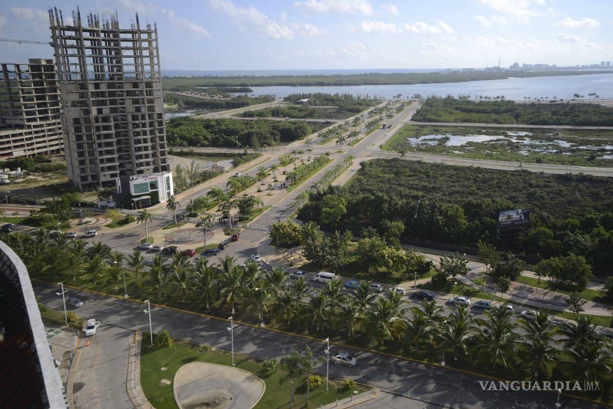 $!Tribunal ordena a Semarnat restaurar manglar de Tajamar