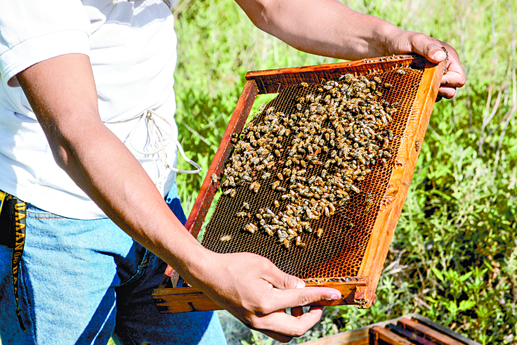 Cuida de las abejas y con ellas del Planeta, estudiante de la Narro
