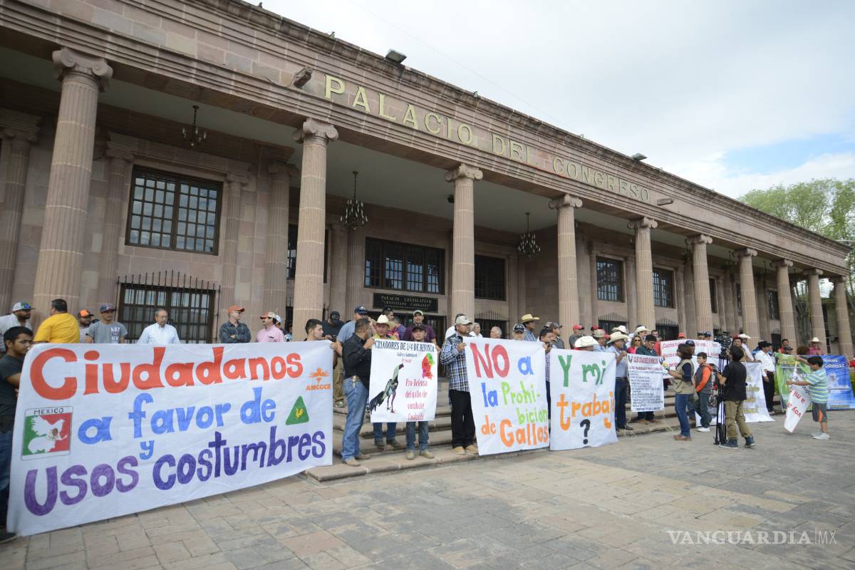 Insiste Gobernador en prohibir peleas de gallos en Coahuila