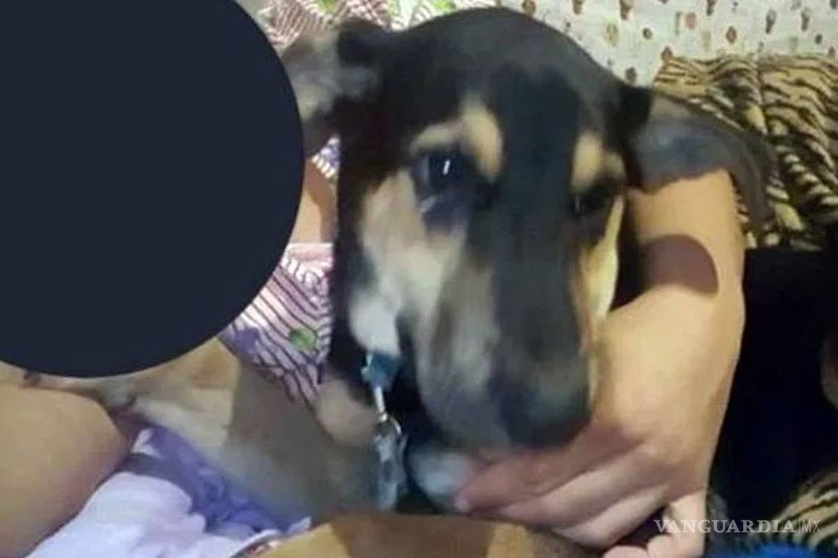 Denuncia a su ex mujer por abusar sexualmente de su perro
