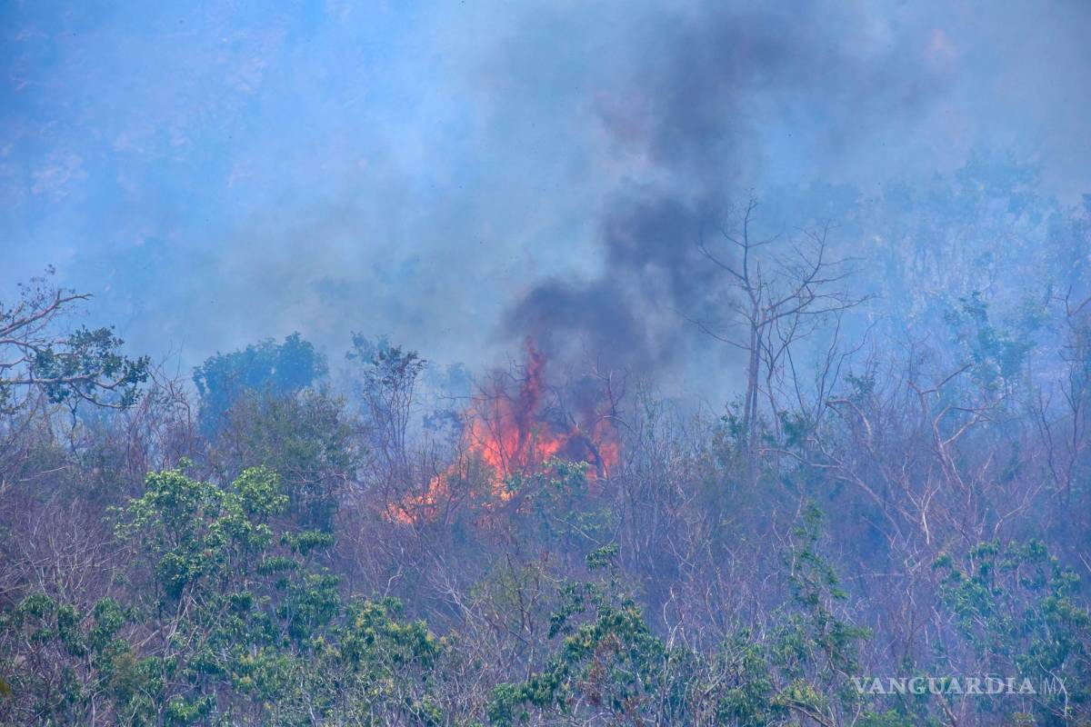Drones, sensores y satélites, una nueva generación tecnológica para lucha contra los incendios forestales