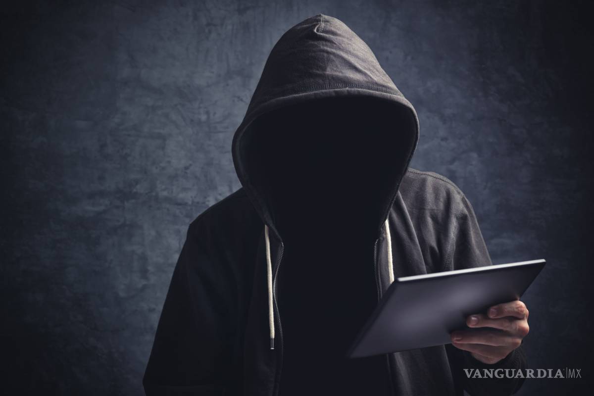 Graban espías holandeses a hackers rusos