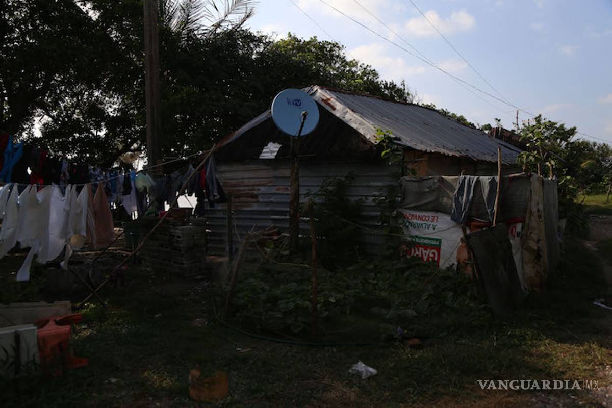 Encuentra Marina fosa con 49 cuerpos en Veracruz